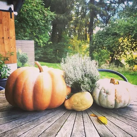 Tiny House Mit Eigener Sauna Am Waldrand In Der Fraenkischen Schweiz Niederdorla