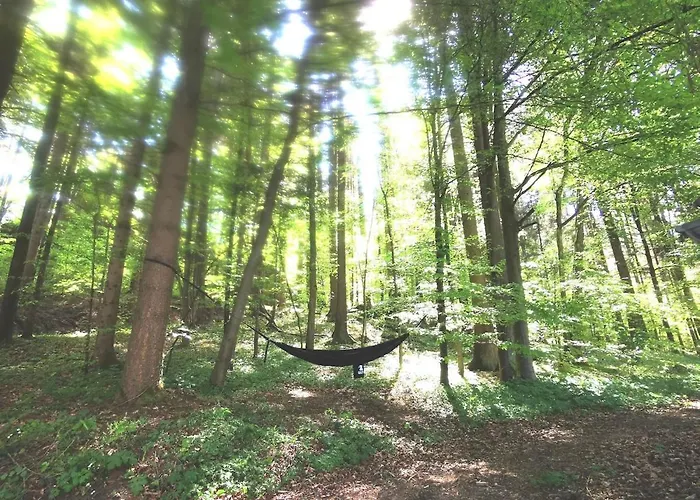 Tiny House Mit Eigener Sauna Am Waldrand In Der Fränkischen Schweiz *