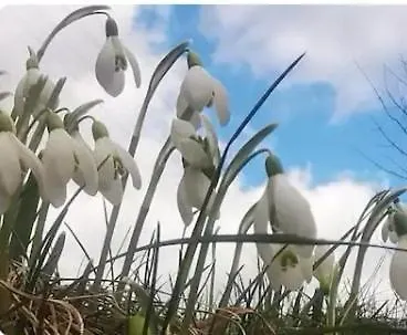 Tiny House Mit Eigener Sauna Am Waldrand In Der Fränkischen Schweiz