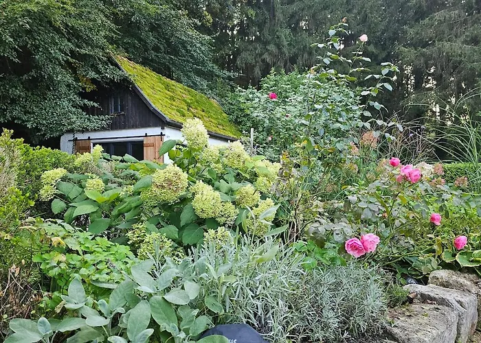 Tiny House Mit Eigener Sauna Am Waldrand In Der Fränkischen Schweiz Niederdorla