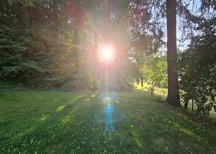 Ferienhaus Tiny House Mit Eigener Sauna Am Waldrand In Der Fränkischen Schweiz
