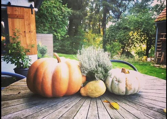 Tiny House Mit Eigener Sauna Am Waldrand In Der Fränkischen Schweiz Niederdorla