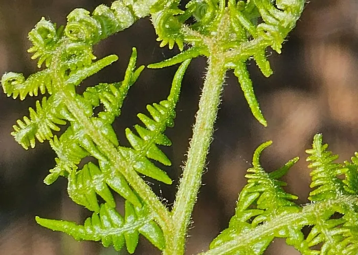 Ferienhaus Tiny House Mit Eigener Sauna Am Waldrand In Der Fränkischen Schweiz *