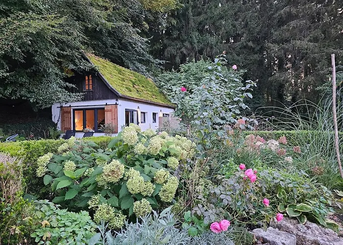 Tiny House Mit Eigener Sauna Am Waldrand In Der Fränkischen Schweiz * Niederdorla